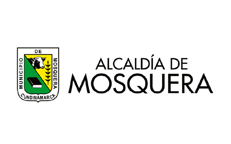 Caso de Éxito 3